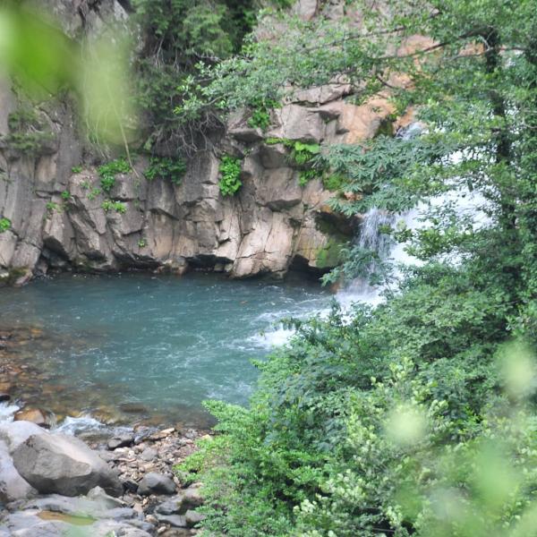 Otingo Vadisi